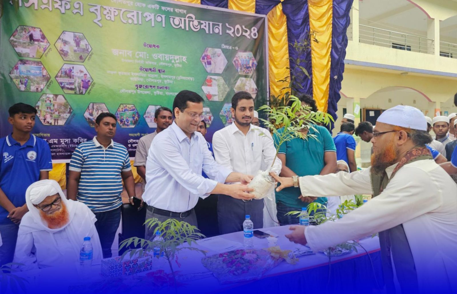 Our Tree Plantation Initiative in 2024: An Eco-Friendly Mission