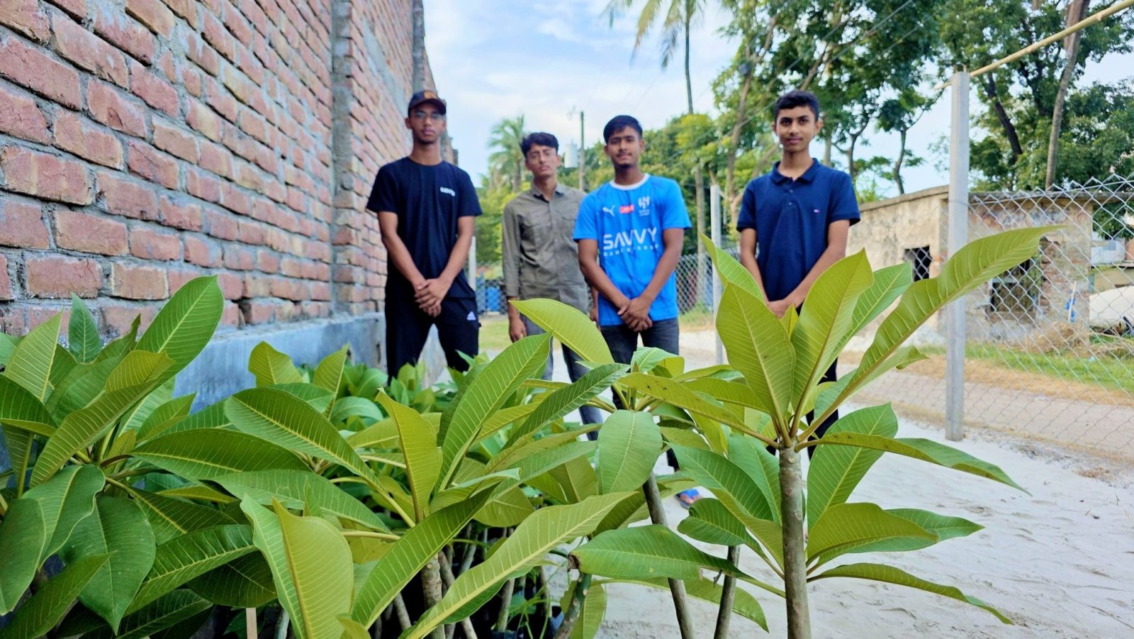 Plant Hub: Dr Musa Kobir Plan Hub